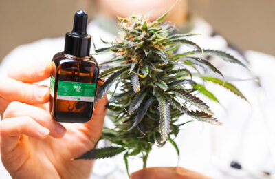 doctor hand hold and offer to patient medical marijuana and oil. Cannabis recipe for personal use, legal light drugs prescribe, alternative remedy or medication,medicine concept
